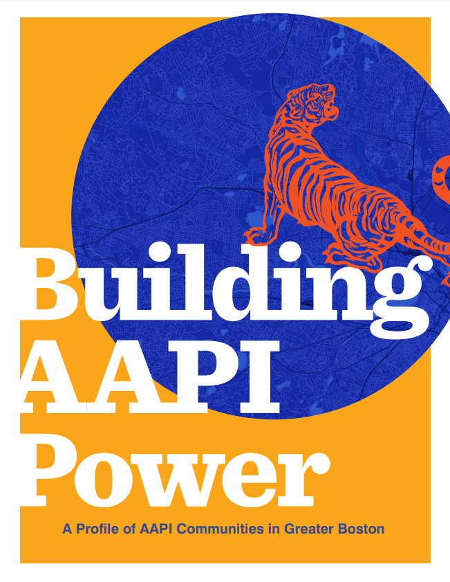 aapi power