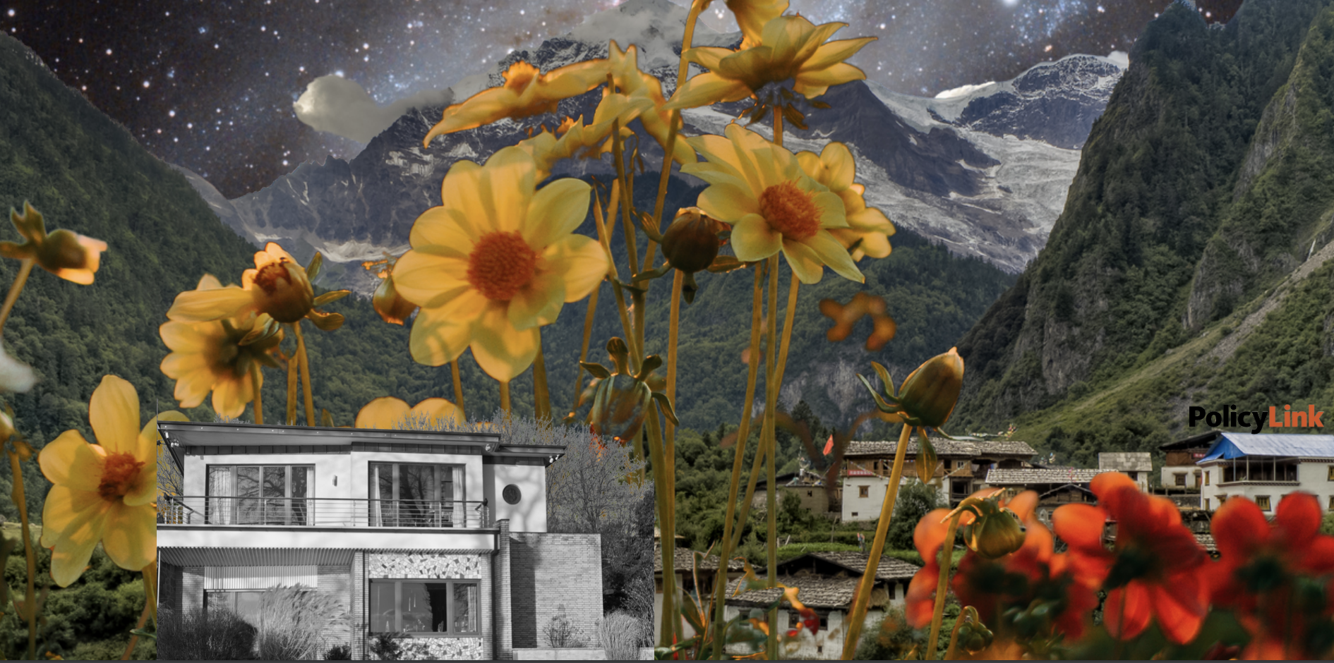 Report cover image. A house in front of sunflowers